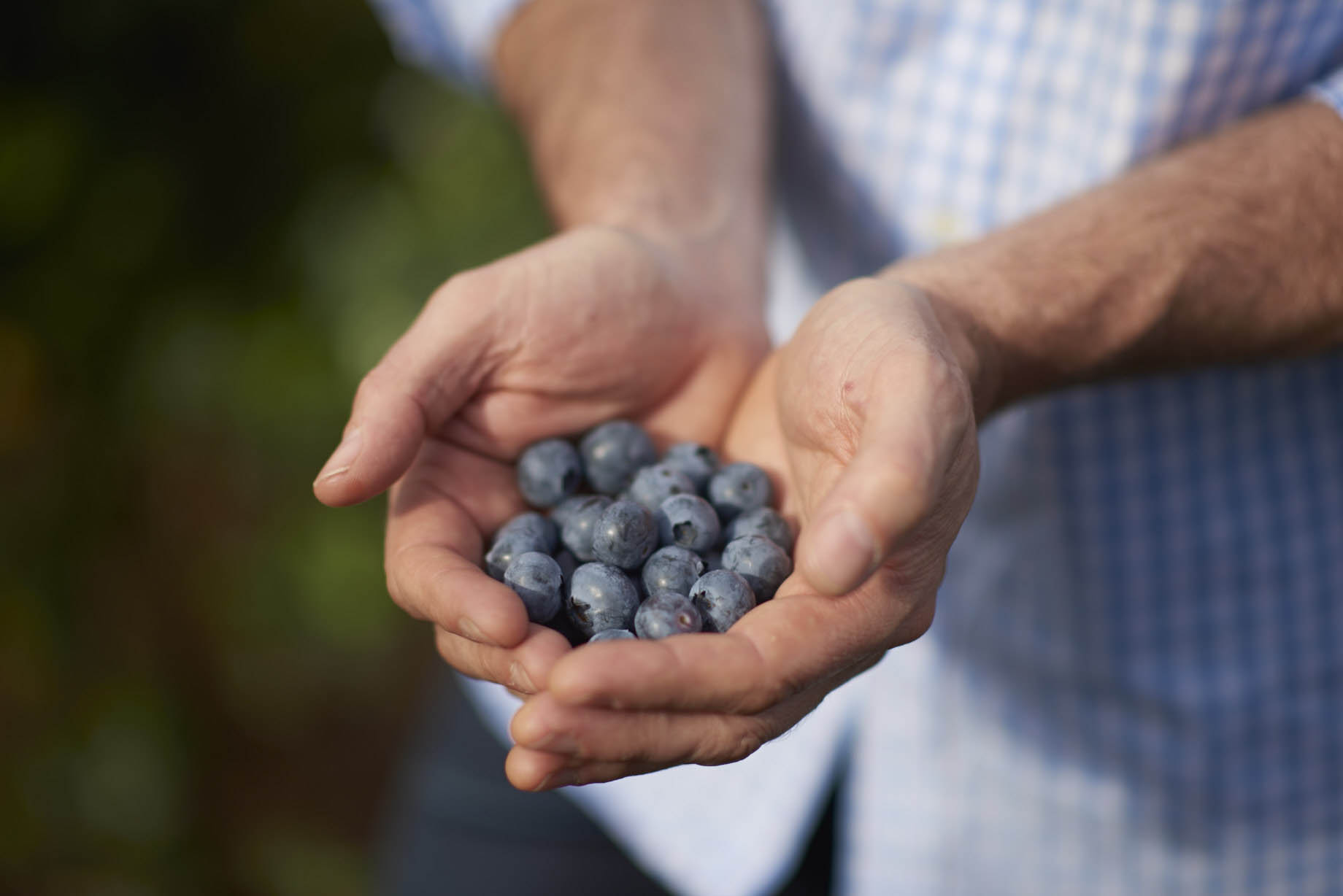 A handful of health – Smart Berries